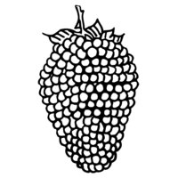 FRUIT003