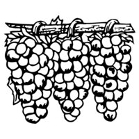 FRUIT015