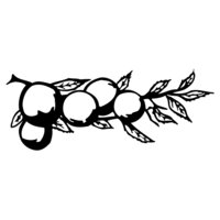 FRUIT028