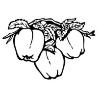 FRUIT030