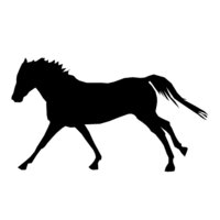 horse silhouette1