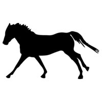 horse silhouette3