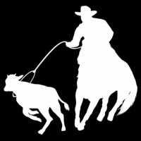 001 rodeo silhouettes