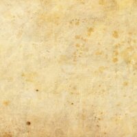 light bg