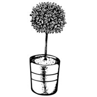 Trees
