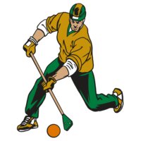 Broomball